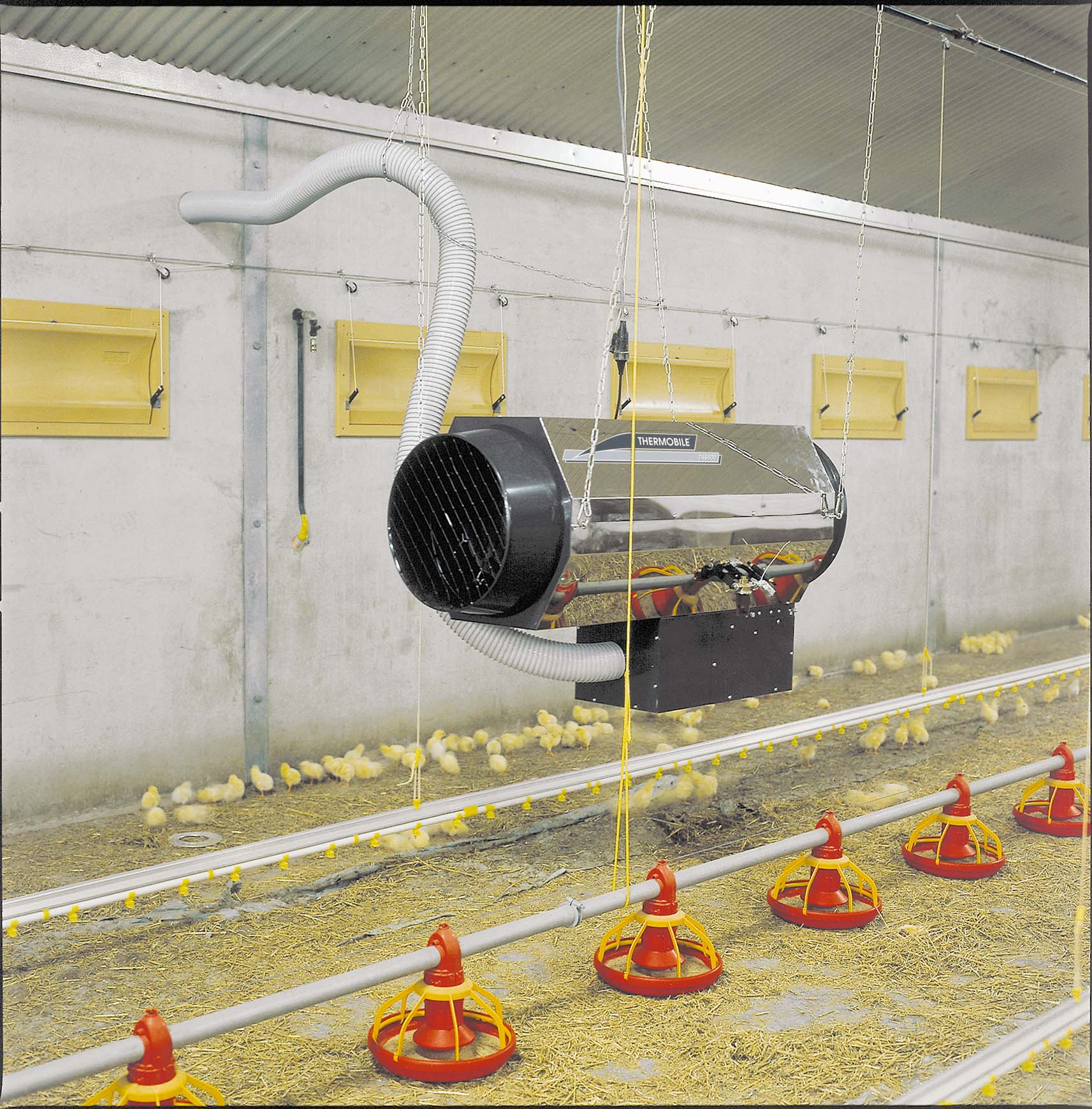 AGA heater in a chicken farm.